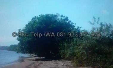Tanah Murah Tepi Pantai Pasir Putih Pulau Moyo