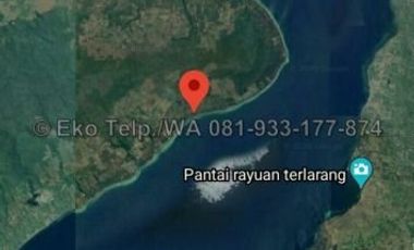 Tanah Murah Tepi Pantai Pasir Putih Pulau Moyo