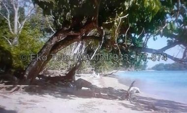 Tanah Murah Tepi Pantai Pasir Putih Pulau Moyo