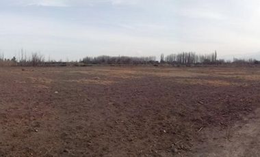 EXCELENTE FINCA EN LA PRIMAVERA - GUAYMALLEN - MENDOZA
