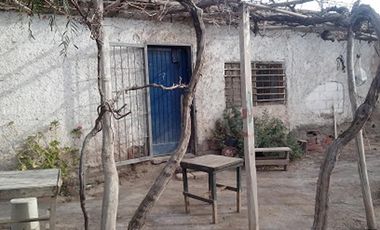 EXCELENTE FINCA EN LA PRIMAVERA - GUAYMALLEN - MENDOZA