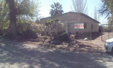 EXCELENTE FINCA EN LA PRIMAVERA - GUAYMALLEN - MENDOZA