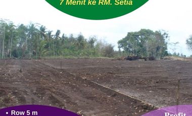 Tanah Murah Di Purworejo