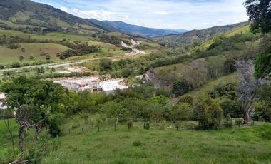 Vendo este extenso terreno a 40 mil pesos el metro cuadrado en Barbosa.