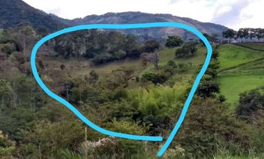 Vendo este extenso terreno a 40 mil pesos el metro cuadrado en Barbosa.