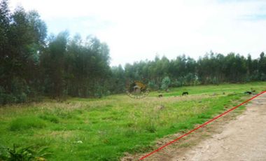 Terreno de venta en Río Amarillo – código:10020