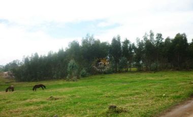 Terreno de venta en Río Amarillo – código:10020