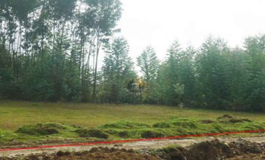 Terreno de venta en Río Amarillo – código:10020