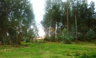 Terreno de venta en Río Amarillo – código:10020