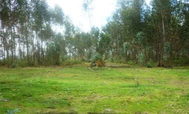 Terreno de venta en Río Amarillo – código:10020