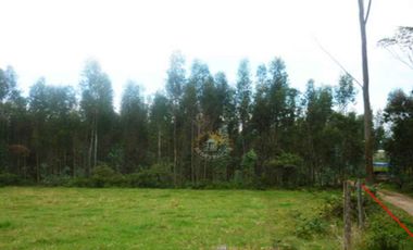 Terreno de venta en Río Amarillo – código:10020