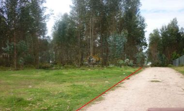 Terreno de venta en Río Amarillo – código:10020