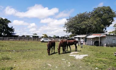 Venta Rancho 700 hectareas en Champoton, Campeche