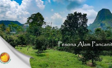 Jual Cepat Tanah seluas 1000 Meter hanya 180 Juta Saja