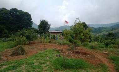 Jual Cepat Tanah seluas 1000 Meter hanya 180 Juta Saja