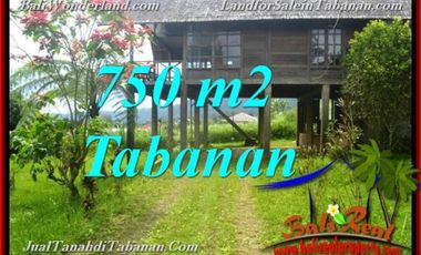 750 m2 view kebun & Gunung Murah 1,9 jt/m di Tabanan Bedugul