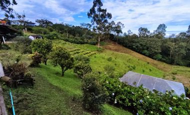 finca en arriendo/venta en via pereira. Cod A14562
