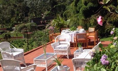 finca en arriendo/venta en via pereira. Cod A14562