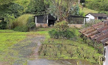 finca en arriendo/venta en via pereira. Cod A14562