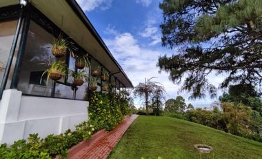 finca en arriendo/venta en via pereira. Cod A14562