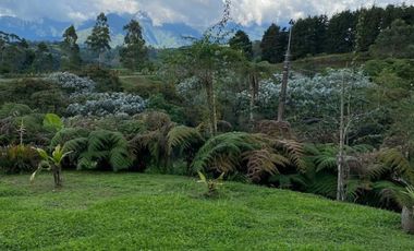finca en arriendo/venta en via pereira. Cod A14562