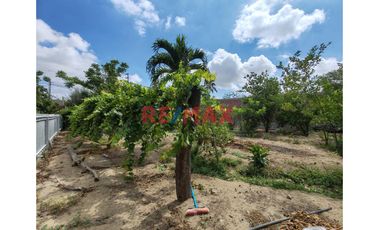 📌 Un espacio rodeado de 🌿 naturaleza y con gran potencial para construir tu hogar ideal o desarrollar un negocio con amplio terreno, perfecto para un