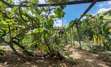 📌 Un espacio rodeado de 🌿 naturaleza y con gran potencial para construir tu hogar ideal o desarrollar un negocio con amplio terreno, perfecto para un