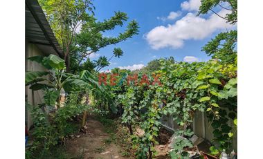 📌 Un espacio rodeado de 🌿 naturaleza y con gran potencial para construir tu hogar ideal o desarrollar un negocio con amplio terreno, perfecto para un