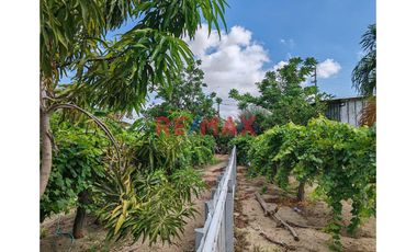 📌 Un espacio rodeado de 🌿 naturaleza y con gran potencial para construir tu hogar ideal o desarrollar un negocio con amplio terreno, perfecto para un
