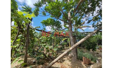 📌 Un espacio rodeado de 🌿 naturaleza y con gran potencial para construir tu hogar ideal o desarrollar un negocio con amplio terreno, perfecto para un