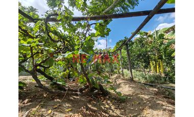 📌 Un espacio rodeado de 🌿 naturaleza y con gran potencial para construir tu hogar ideal o desarrollar un negocio con amplio terreno, perfecto para un