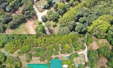 FOR SALE! 80,000 SQM Farm Lot with House in Nasugbu, Batangas