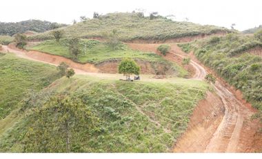 VENTA DE LOTE EN SAN ROQUE ,ANTIOQUIA 2