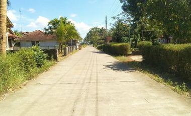 Pekarangan SHM Fasum Jalan 5 Meter Area Kota Purworejo