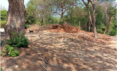 Venta de Lote por Bonda,  Santa María