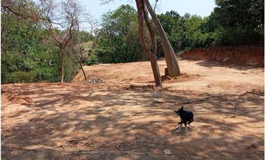 Venta de Lote por Bonda,  Santa María