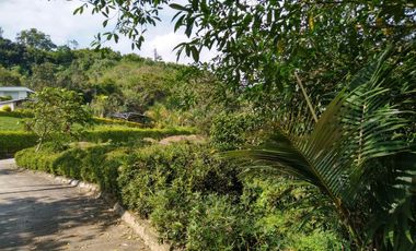 lote en venta en combia. Cod V2802