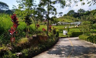 lote en venta en combia. Cod V2802