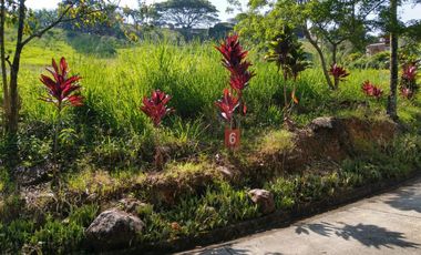 lote en venta en combia. Cod V2802