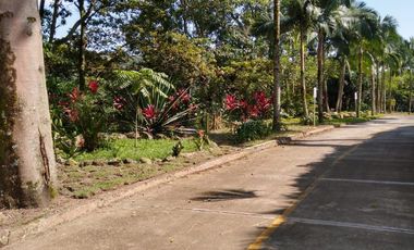 lote en venta en combia. Cod V2802