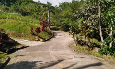 lote en venta en combia. Cod V2802