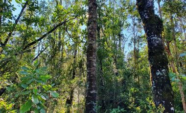 Parcela en Condominio provincia del Ranco