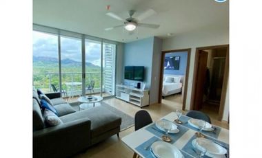 SEA CONFIABLE VENDE PH ROYAL PALM PLAYA GORGONA