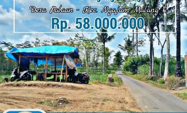 Dijual tanah Lokasi di Desa Palaan - Kec. Ngajum Malang