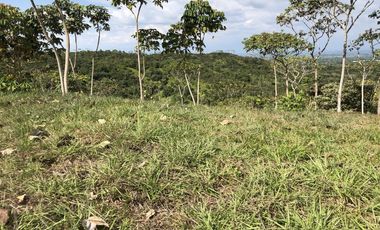 lote en venta en pance. Cod V9504