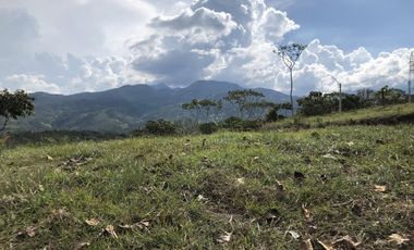 lote en venta en pance. Cod V9504