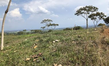 lote en venta en pance. Cod V9504