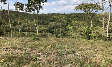 lote en venta en pance. Cod V9504