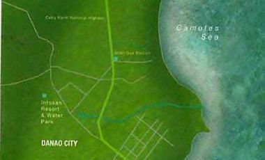 Exclusive Beach Villas for sale in Cebu