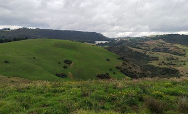 finca en venta en el sisga. Cod V4918